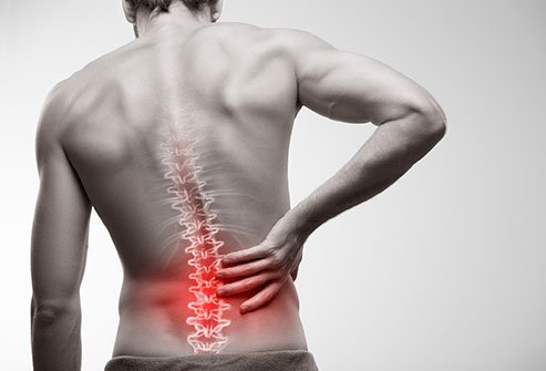 What Organs Can Cause Lower Back Pain?