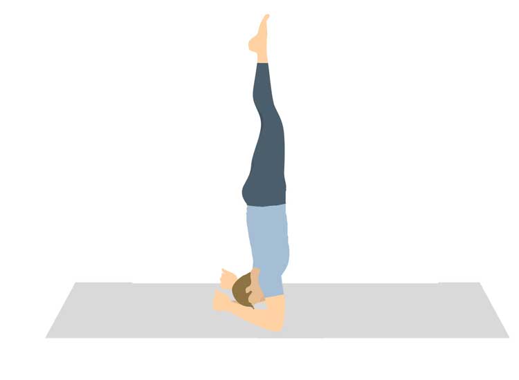 Shirshasana – The Headstand Pose - Yog4lyf