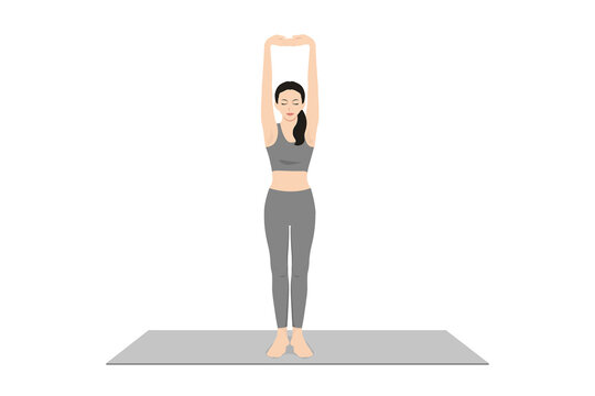 Young woman practicing yoga, standing in mountain pose. Tadasana pose  isolated. Side view. Vector illustration 7023015 Vector Art at Vecteezy