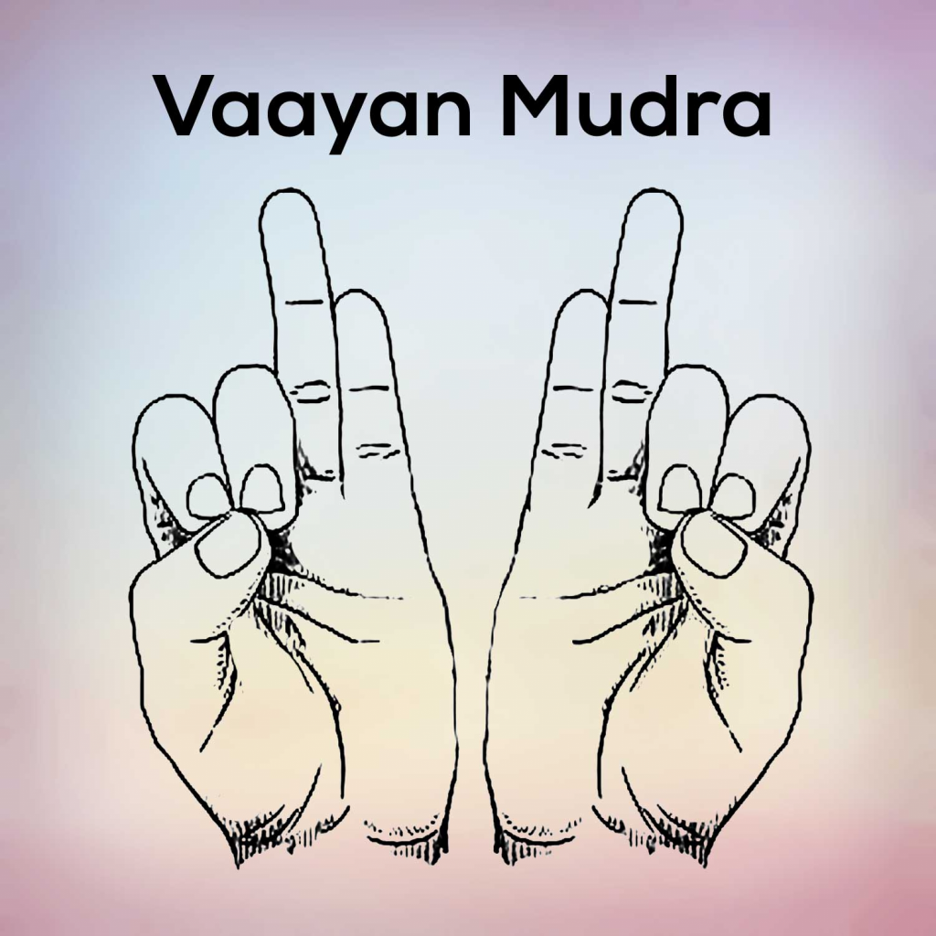 Hello everyone! Now, this is Shiva Linga Mudra. It is a powerful hand  gesture that represents both the God and Goddess, a symbol of… | Instagram