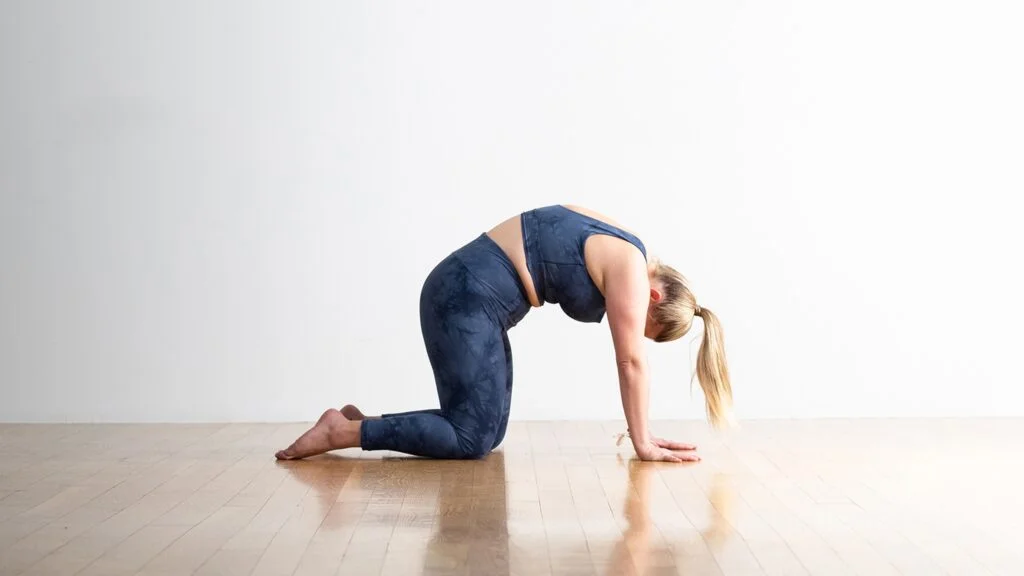 Playbook - Svenja Berndt - Asana break down - Plank pose