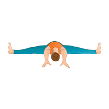 Upavistha Konasana for Blocked fallopian Tubes 